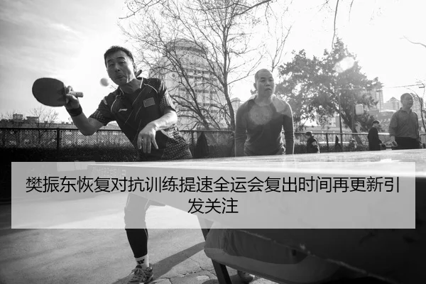 樊振东恢复对抗训练提速全运会复出时间再更新引发关注 | BeiboSports